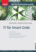 IT für Smart Grids