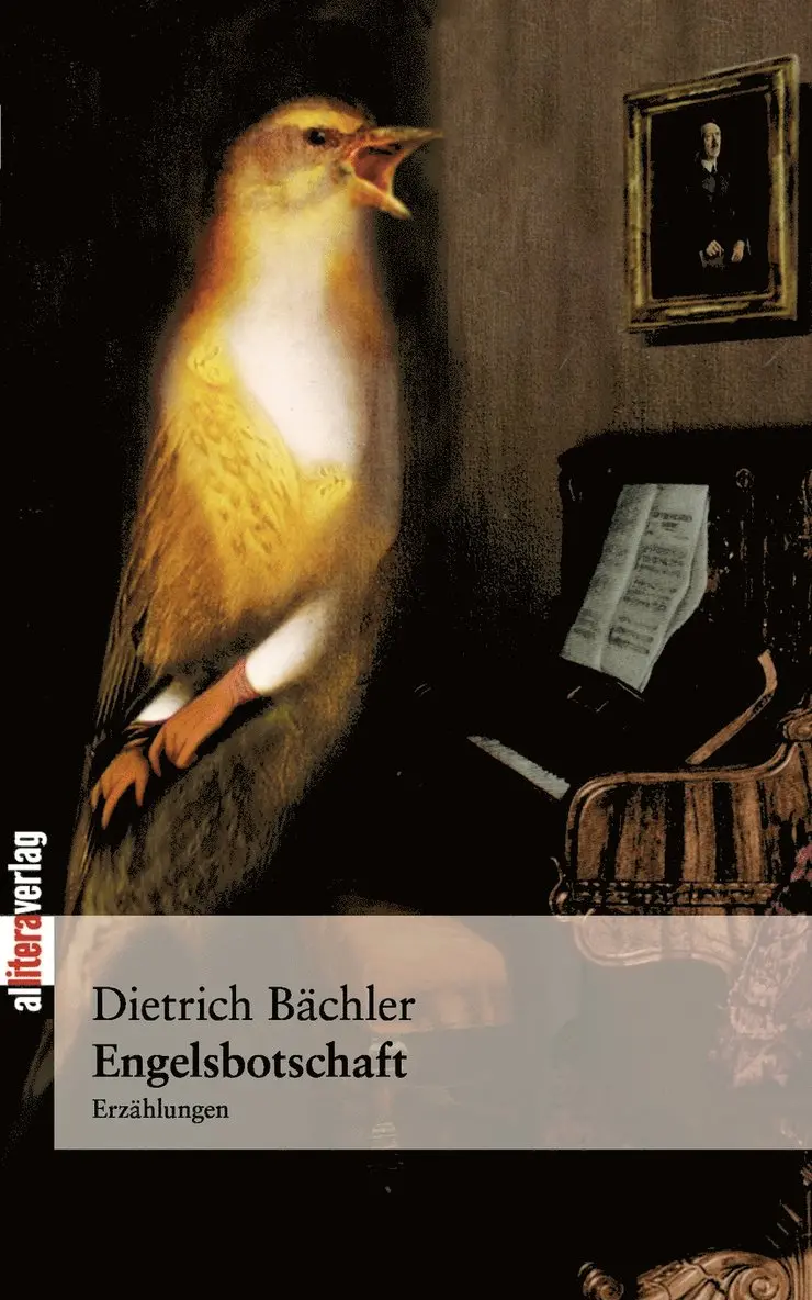 Dietrich Bächler - Engelsbotschaft, Häftad. Tillgänglighet: Lägg i varukorg