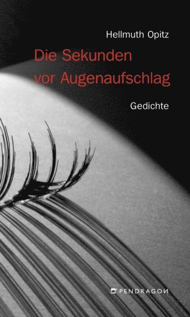 Hellmuth Opitz - Die Sekunden vor Augenaufschlag, E-bok