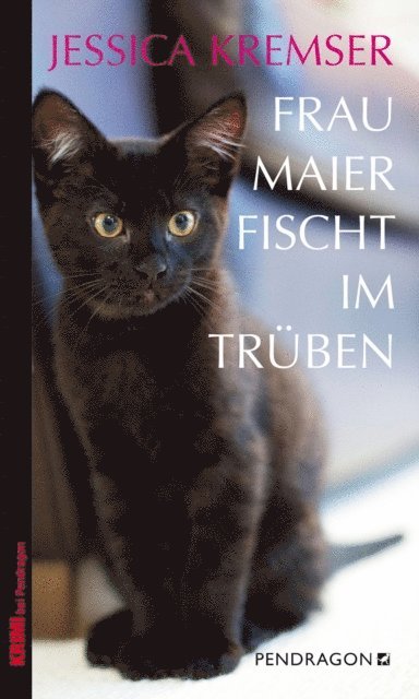 Jessica Kremser - Frau Maier fischt im Trüben, E-bok