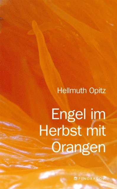 Hellmuth Opitz - Engel im Herbst mit Orangen, E-bok