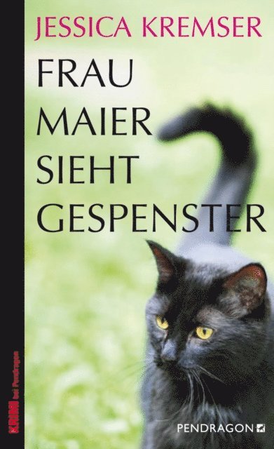 Jessica Kremser - Frau Maier sieht Gespenster, E-bok