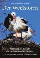 Anne Kleemann, Alfons Rolf Bense, Aktionskomitee "Rettet die Weißstörche im Kreis Minden-Lübbecke" e. V. - Der Weißstorch. Niedergang und Rückkehr einer nordwestdeutschen Population, Häftad