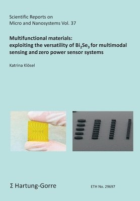 Katrina Klösel - Multifunctional materials, Häftad