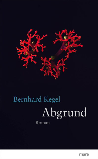 Bernhard Kegel - Abgrund, E-bok