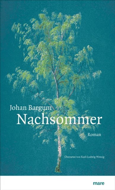 Johan Bargum - Nachsommer, E-bok