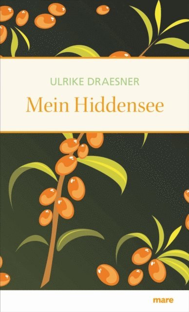 Ulrike Draesner - Mein Hiddensee, E-bok