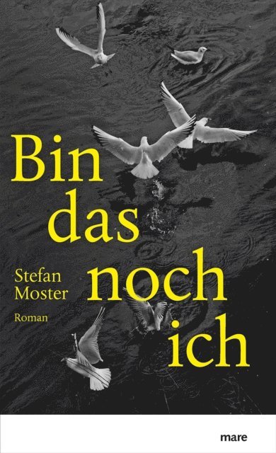 Stefan Moster - Bin das noch ich, E-bok