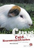 Cuys - Riesenmeerschweinchen