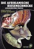 Die Afrikanische Riesenschnecke - Achatina Fulica