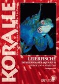 Art fr Art: Leierfische