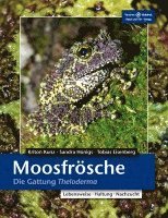Moosfr�sche