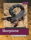 Skorpione