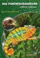 David Hellendrung - Das Pantherchamäleon, Häftad