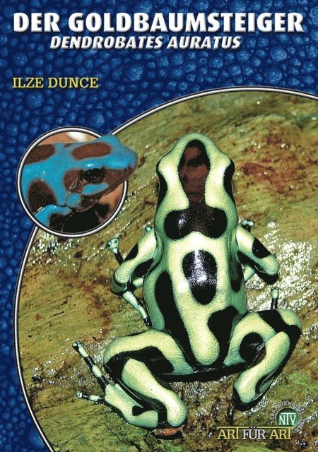 Ilze Dunce - Der Goldbaumsteiger, E-bok