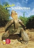 Entdecke die Schildkr�ten