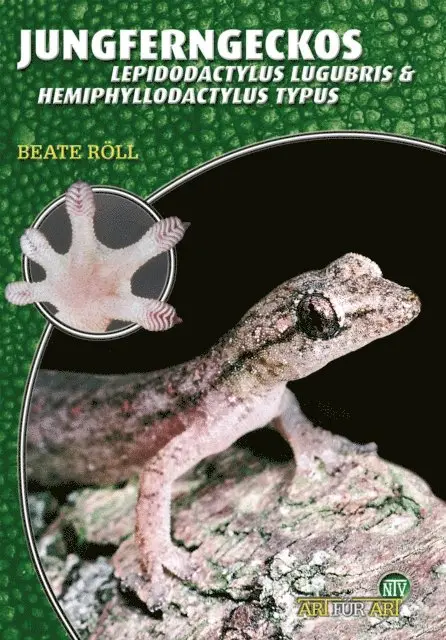 Beate Roll - Jungferngeckos, E-bok. Tillgänglighet: Lägg i varukorg