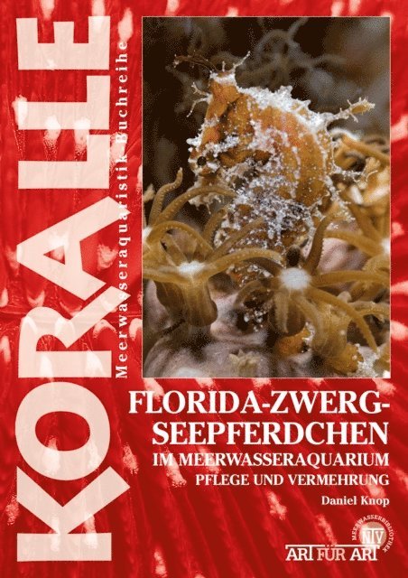 Daniel Knop - Florida-Zwergseepferdchen im Meerwasseraquarium, E-bok
