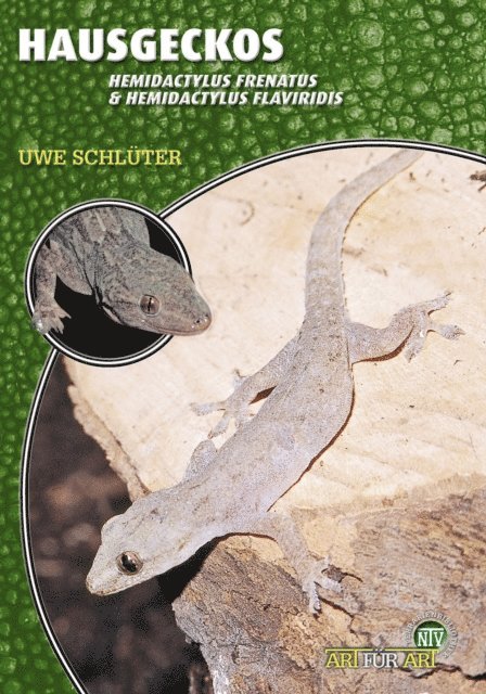 Uwe Schluter - Hausgeckos, E-bok
