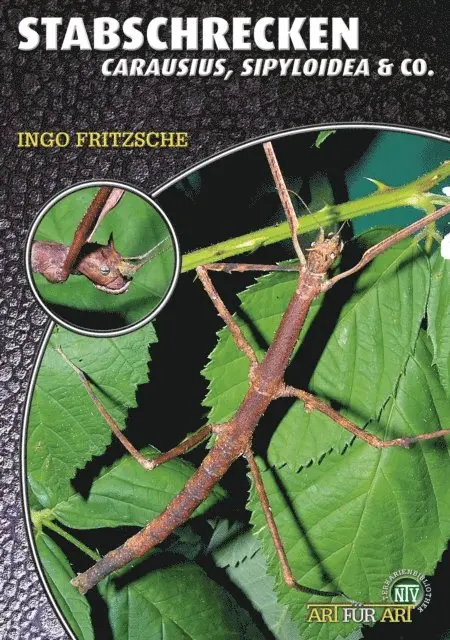 Ingo Fritzsche - Stabschrecken, E-bok. Tillgänglighet: Lägg i varukorg
