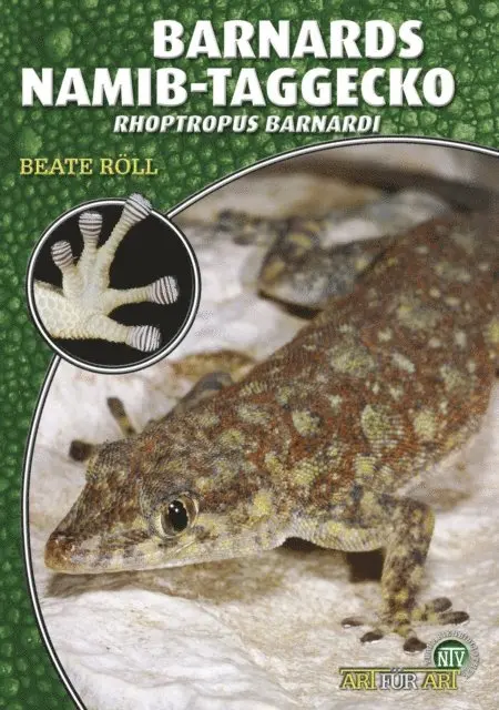 Beate Roll - Barnards Namib-Taggecko, E-bok. Tillgänglighet: Lägg i varukorg
