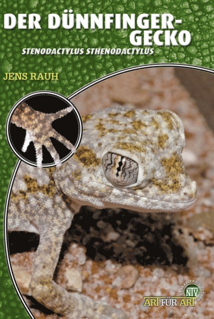 Jens Rauh - Der Dünnfingergecko, E-bok
