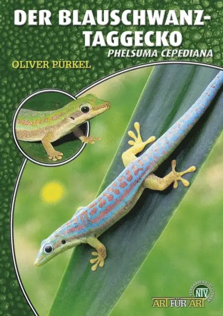 Oliver Purkel - Der Blauschwanz-Taggecko, E-bok. Tillgänglighet: Lägg i varukorg