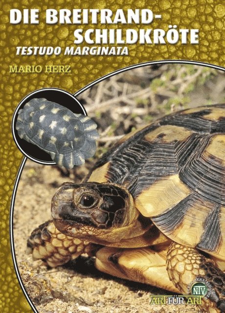 Mario Herz - Die Breitrandschildkröte, E-bok