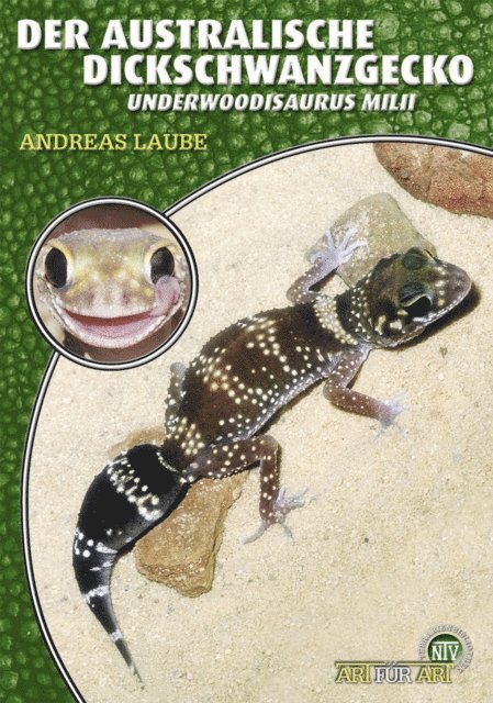 Andreas Laube - Der Australische Dickschwanzgecko, E-bok