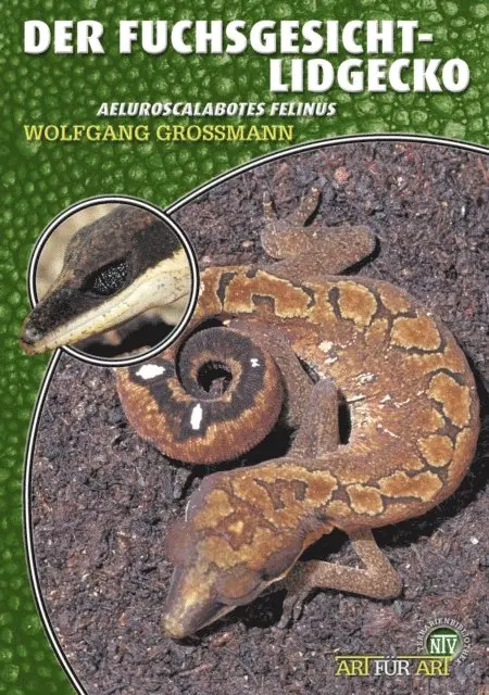 Wolfgang Grossmann - Der Fuchsgesicht-Lidgecko, E-bok. Tillgänglighet: Lägg i varukorg