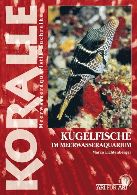 Marco Lichtenberger - Kugelfische im Meerwasseraquarium, E-bok. Tillgänglighet: Lägg i varukorg