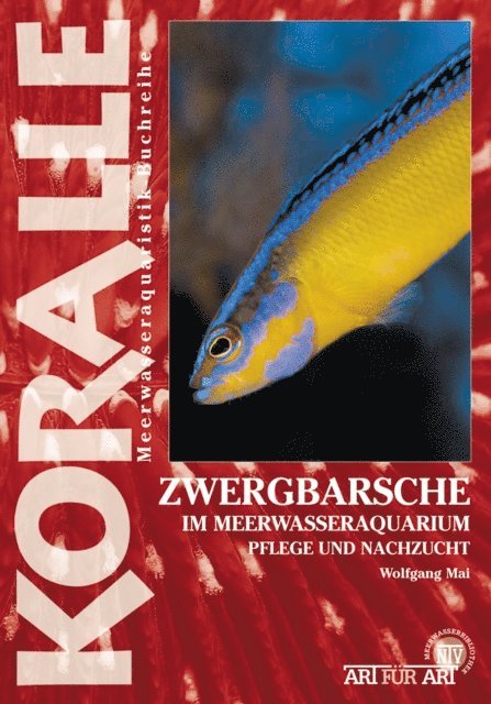 Wolfgang Mai - Zwergbarsche im Meerwasseraquarium, E-bok
