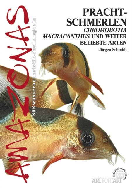 Jurgen Schmidt - Prachtschmerlen, E-bok