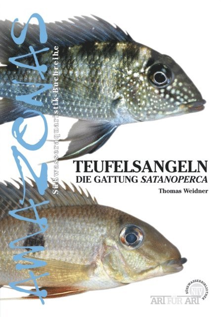 Thomas Weidner - Teufelsangeln, E-bok