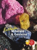 Marlene Dreizler, Christopher Giehl - Entdecke Minerale und Gesteine, Inbunden
