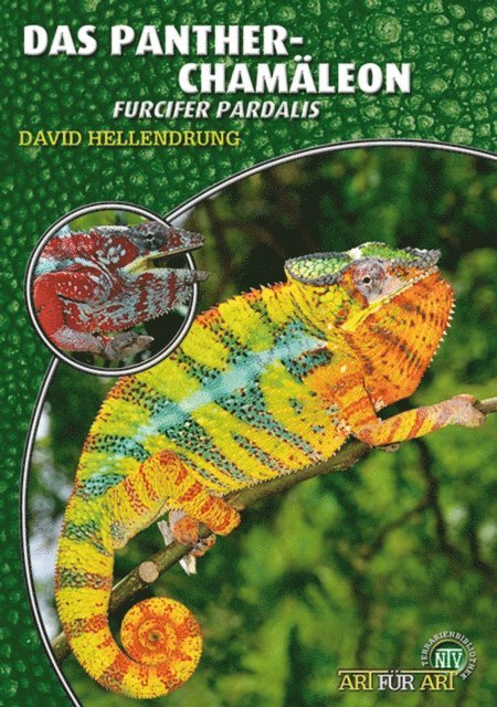 David Hellendrung - Das Pantherchamäleon, E-bok
