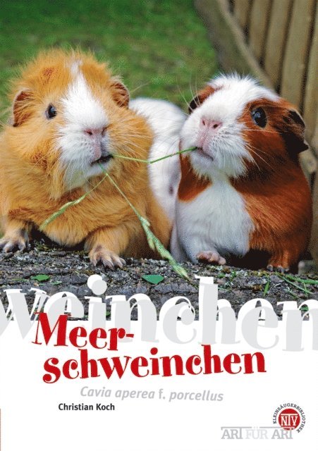 Christian Koch - Meerschweinchen, E-bok
