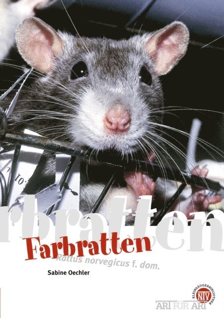 Sabine Oechler - Farbratten, E-bok