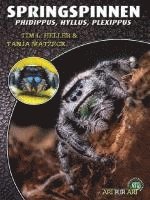 Tim L. Heller, Tanja Matzeck - Springspinnen, Häftad