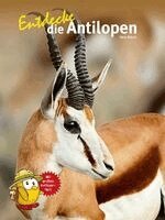 Vera Rduch - Entdecke die Antilopen, Inbunden