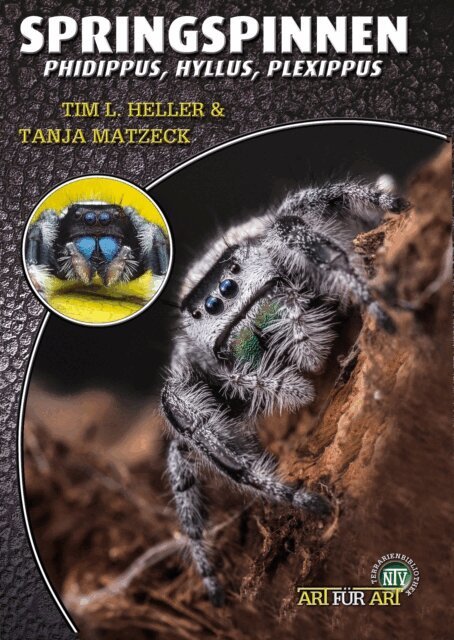 Tanja Matzeck, Tim L. Heller - Springspinnen, E-bok