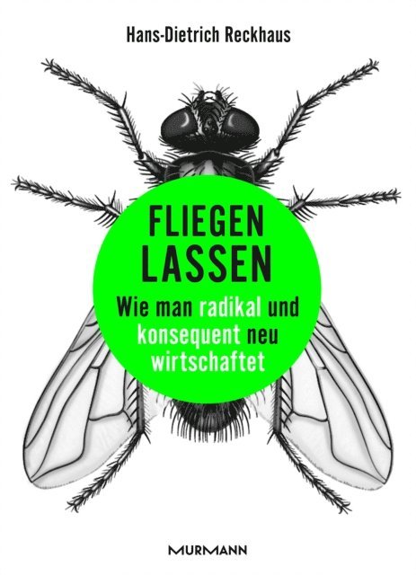Hans-Dietrich Reckhaus - Fliegen lassen, E-bok