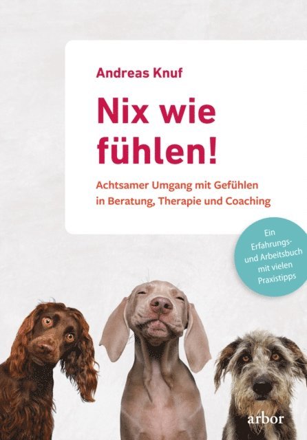 Andreas Knuf - Nix wie fühlen!, E-bok