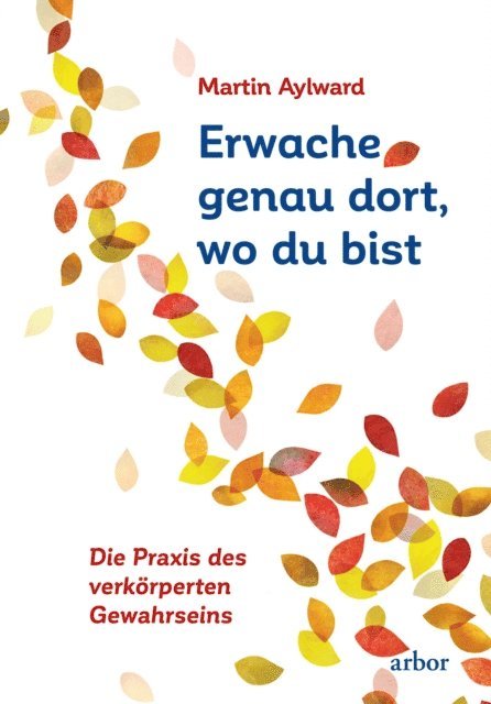 Martin Aylward - Erwache genau dort, wo du bist, E-bok