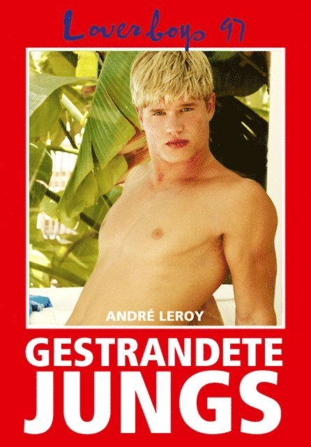 Andre Leroy - Loverboys 97: Gestrandete Jungs, E-bok