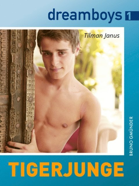 Tilman Janus - dreamboys 1: Tigerjunge, E-bok