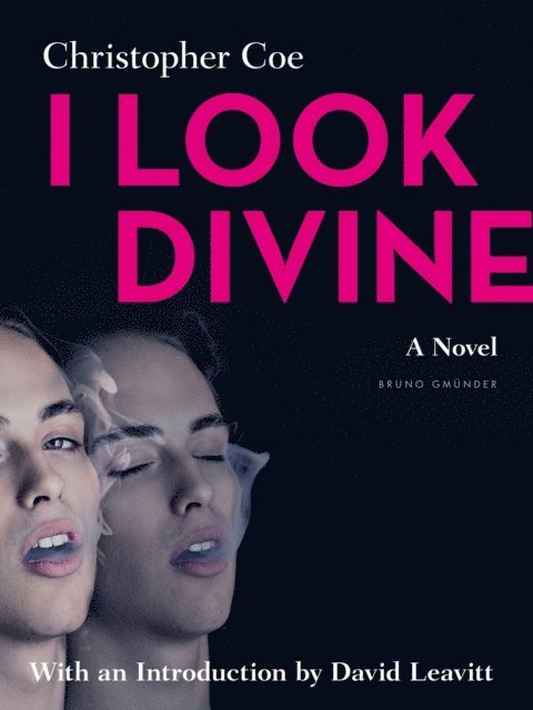 Christopher Coe - I Look Divine, E-bok. Tillgänglighet: Lägg i varukorg