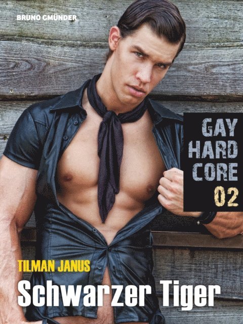 Tilman Janus - Gay Hardcore Quickie 02: Schwarzer Tiger, E-bok