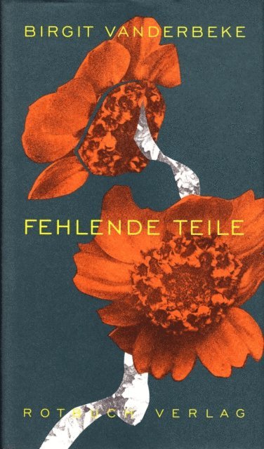 Birgit Vanderbeke - Fehlende Teile, E-bok
