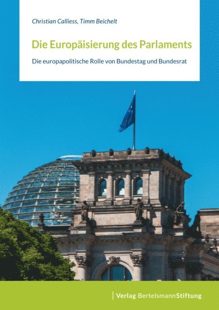 Timm Beichelt, Christian Calliess - Die Europäisierung des Parlaments, E-bok